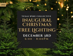 2023 Inaugural Christmas Tree Lighting